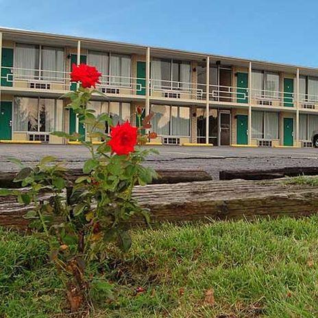 Quality Inn Mount Vernon Amenities photo
